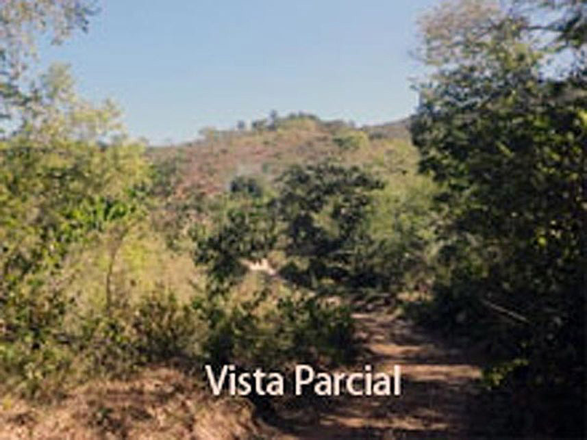 Imagem  do Leilão de Área Rural - Fazenda São Luiz-Ribeirão Preto - Leme do Prado/MG