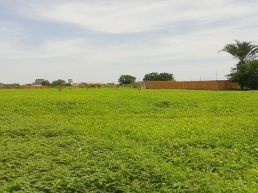 Imagem 2 do Leilão de Terrenos - Bela Vista - Serra do Ramalho/BA