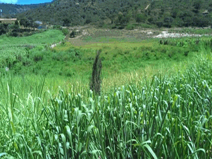 Imagem 3 do Leilão de Terreno - Fazenda Serra Azul - Medina/MG
