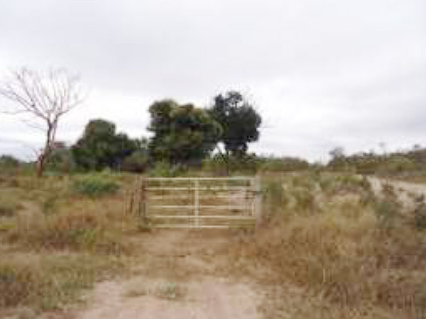Imagem 4 do Leilão de Área Rural - Fazenda Mirante - Taiobeiras/MG