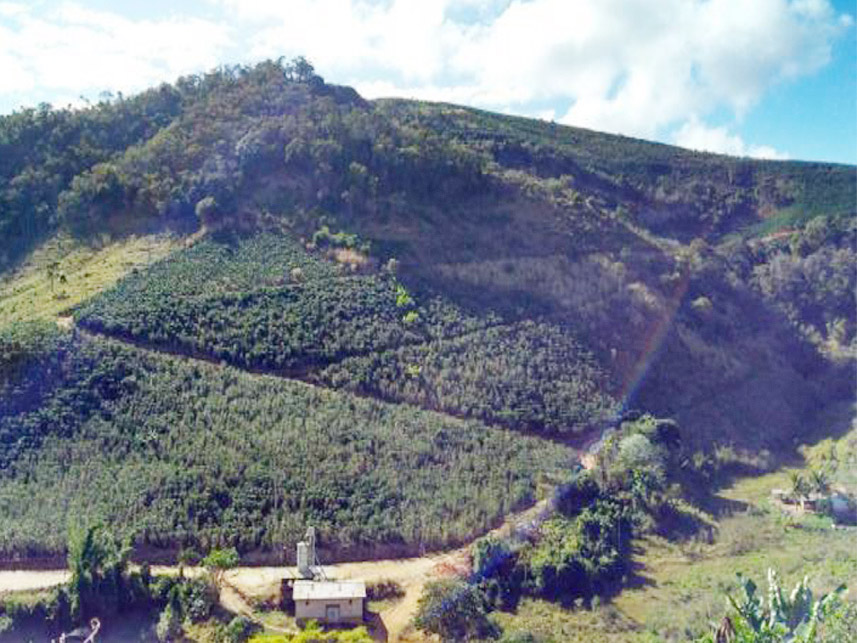 Imagem 2 do Leilão de Área Rural - Córrego da Bananeira - Inhapim/MG