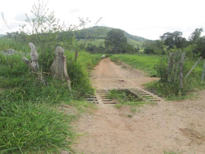 Imagem 4 do Leilão de Área Rural - Sítio Corumbá - Cláudio/MG