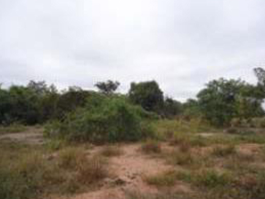 Imagem 3 do Leilão de Área Rural - Fazenda Mirante - Taiobeiras/MG