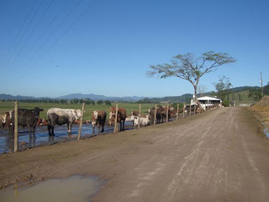 Imagem 2 do Leilão de Área Rural - Barranco Alto - Ilhota/SC