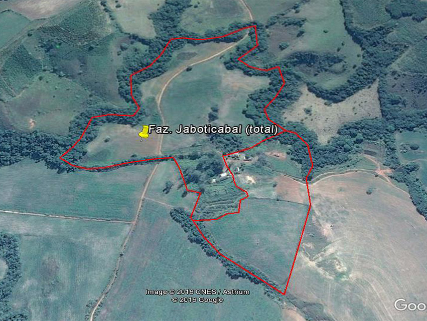 Imagem 6 do Leilão de Área Rural - Jaboticabal - Três Corações/MG