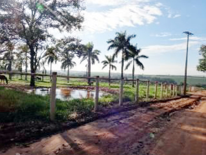 Imagem 11 do Leilão de Área Rural - Chácara São Judas  - Taquaritinga/SP