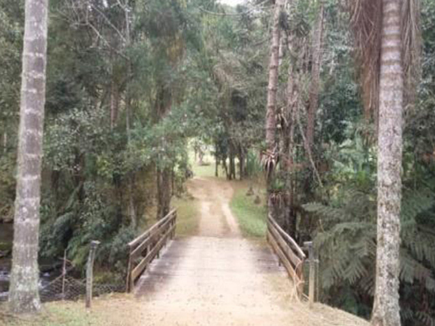 Imagem 6 do Leilão de Área Rural - Distrito de Mirantão - Bocaina de Minas/MG