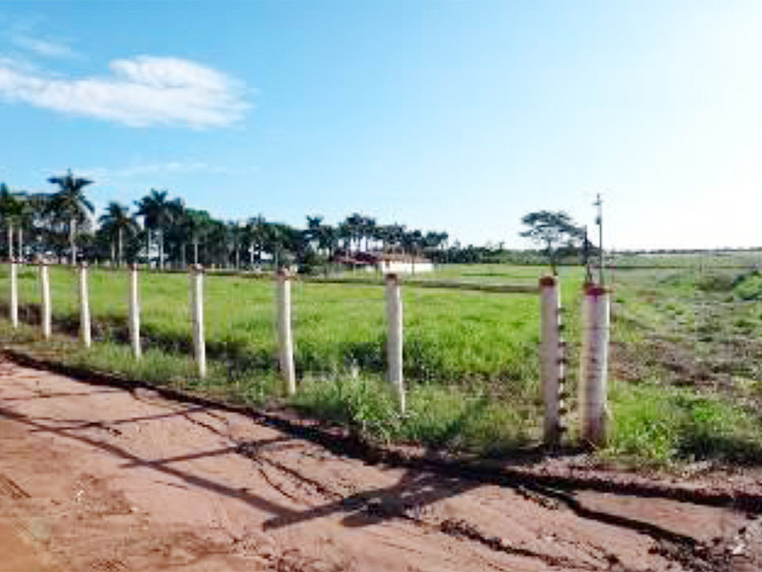 Imagem 6 do Leilão de Área Rural - Chácara São Judas  - Taquaritinga/SP