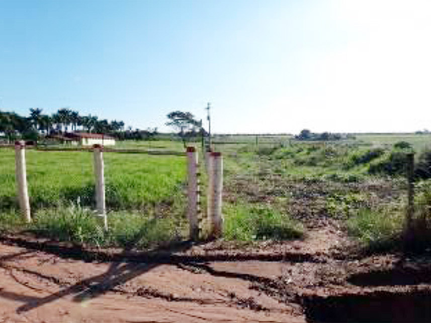 Imagem 7 do Leilão de Área Rural - Chácara São Judas  - Taquaritinga/SP