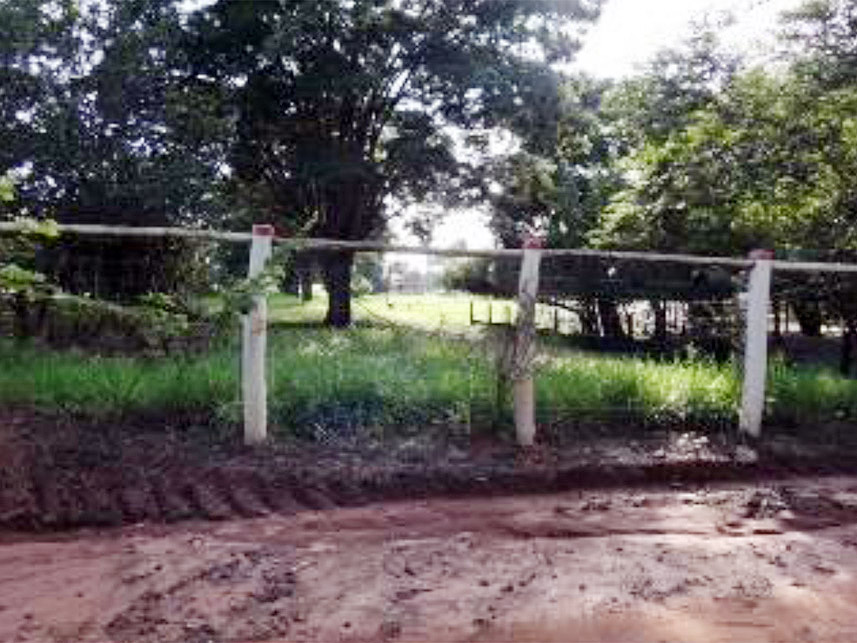 Imagem 10 do Leilão de Área Rural - Chácara São Judas  - Taquaritinga/SP