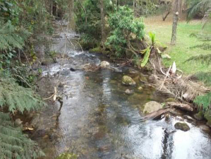 Imagem 7 do Leilão de Área Rural - Distrito de Mirantão - Bocaina de Minas/MG