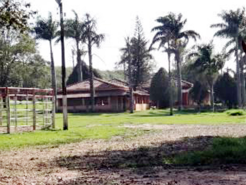 Imagem 3 do Leilão de Área Rural - Chácara São Judas  - Taquaritinga/SP