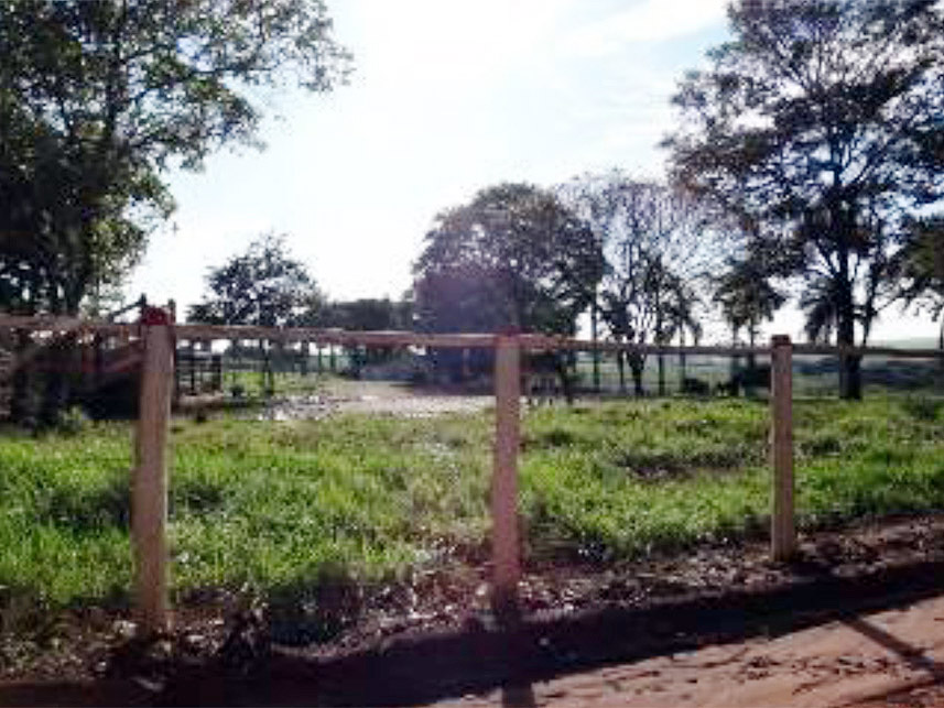 Imagem 12 do Leilão de Área Rural - Chácara São Judas  - Taquaritinga/SP