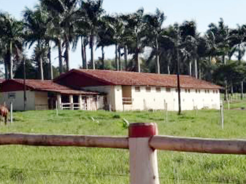 Imagem 5 do Leilão de Área Rural - Chácara São Judas  - Taquaritinga/SP