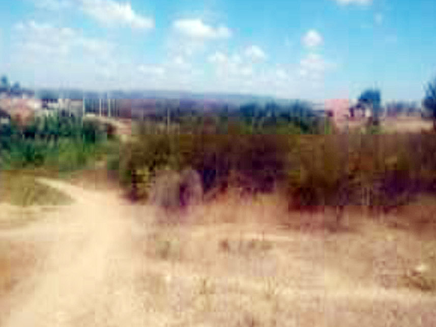 Imagem 1 do Leilão de Terreno - Bairro Novo Horizonte - Lavras da Mangabeira/CE