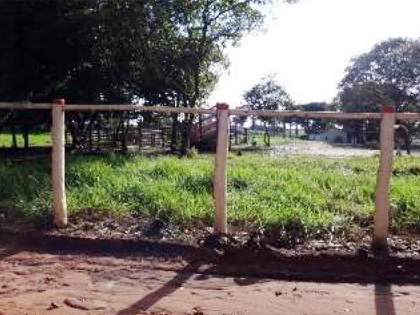 Imagem 8 do Leilão de Área Rural - Chácara São Judas  - Taquaritinga/SP