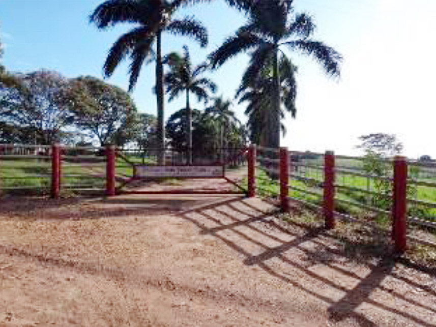 Imagem 1 do Leilão de Área Rural - Chácara São Judas  - Taquaritinga/SP