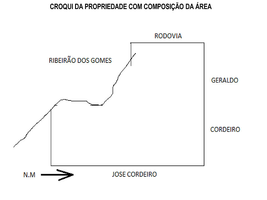 Imagem 2 do Leilão de Área Rural - Fazenda São Luiz-Ribeirão Preto - Leme do Prado/MG