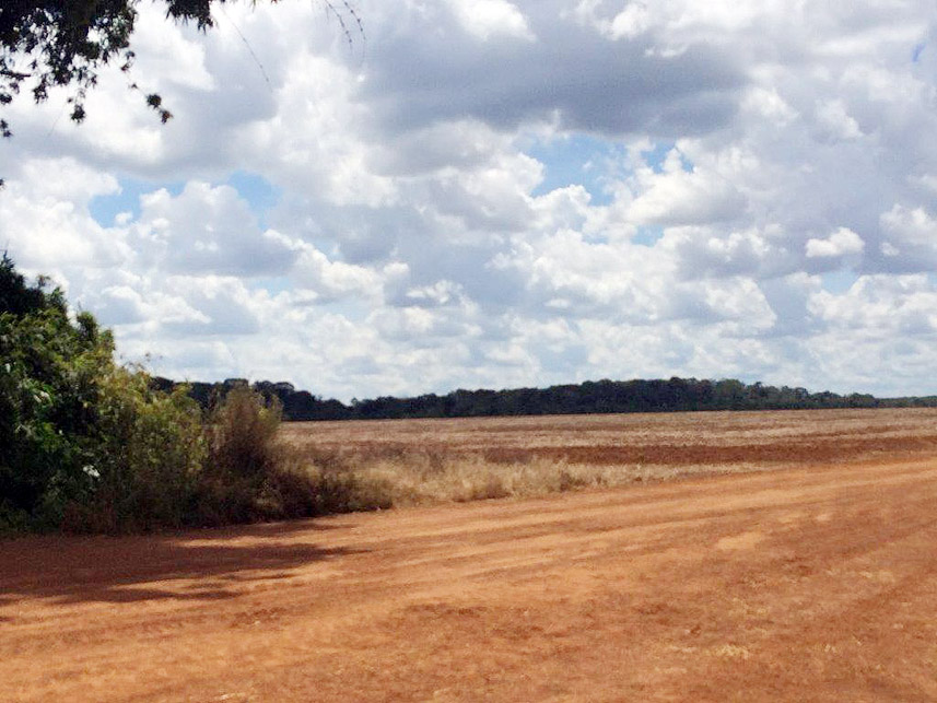 Imagem 2 do Leilão de Área Rural - Imóvel Rural - Novo São Joaquim/MT