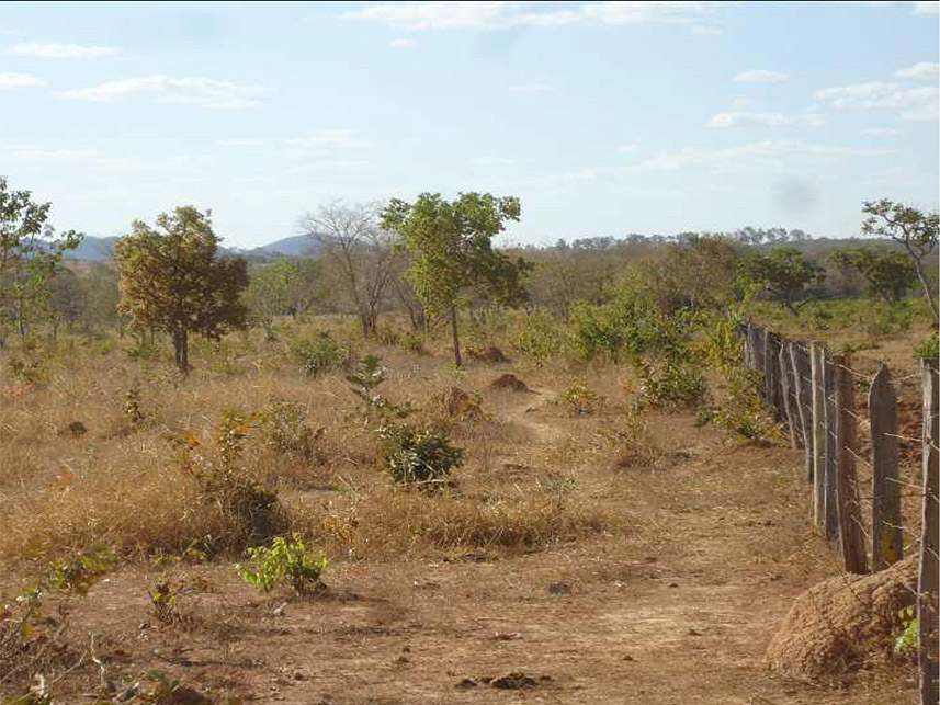 Imagem 2 do Leilão de Área Rural - Unai - Unaí/MG