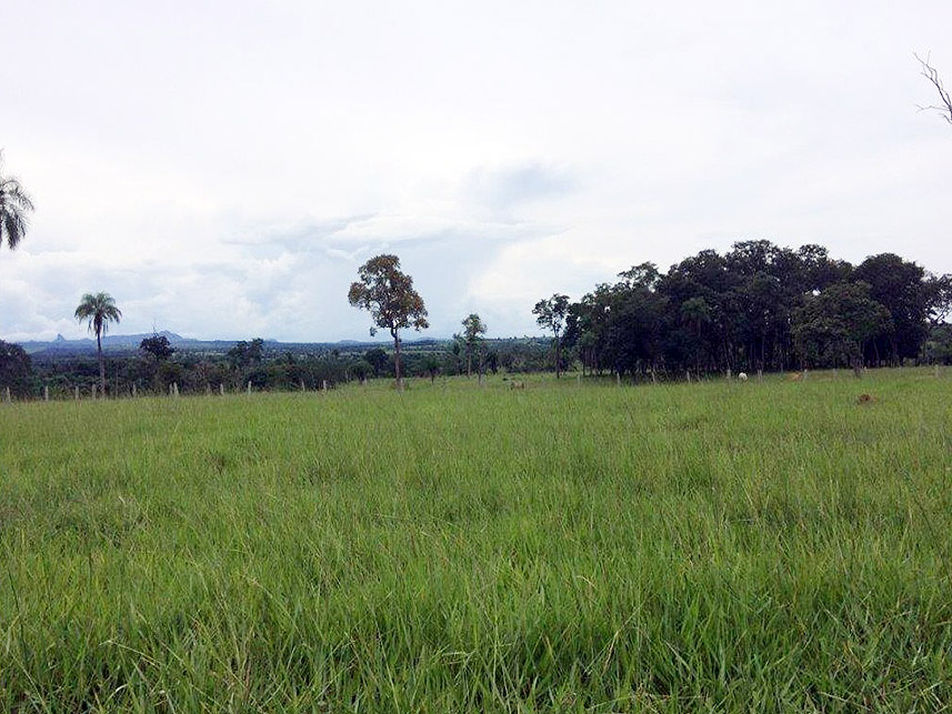 Imagem 2 do Leilão de Área Rural - Imóvel Rural - Rondonópolis/MT