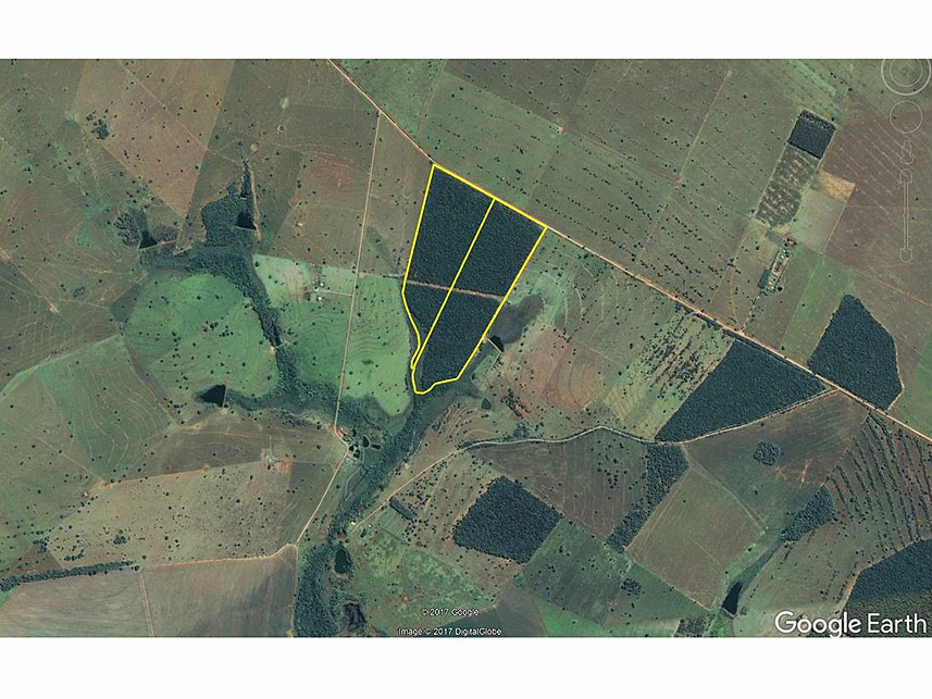 Imagem 2 do Leilão de Área Rural - Imóvel Rural - Nova Alvorada do Sul/MS