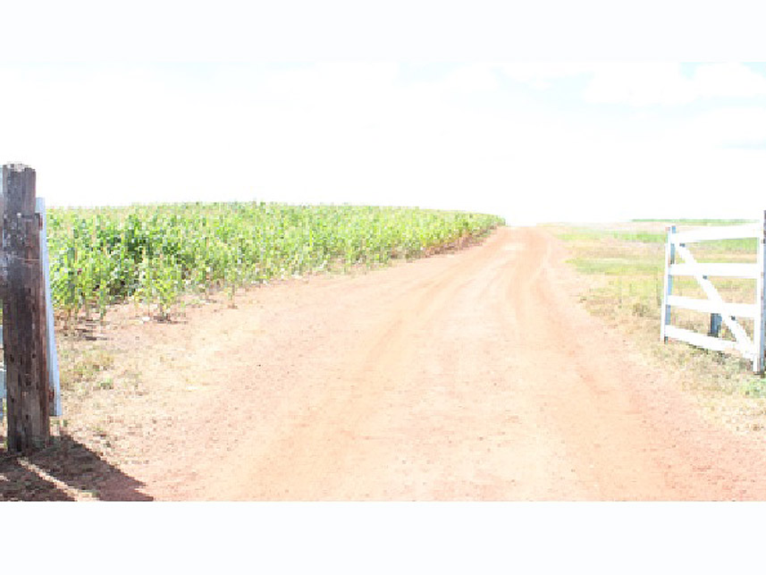 Imagem 2 do Leilão de Área Rural - Imóvel Rural - Cristalina/GO