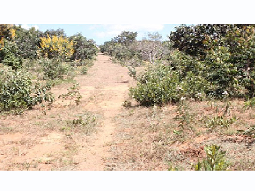 Imagem 1 do Leilão de Área Rural - Imóvel Rural - Cristalina/GO