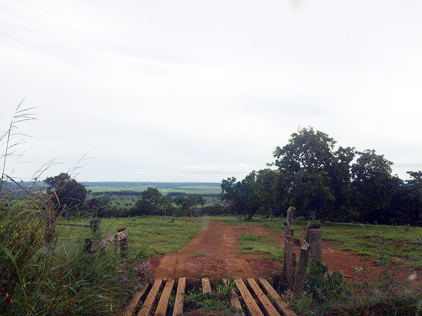 Imagem 4 do Leilão de Área Rural - Imóvel Rural - Pedra Preta/MT