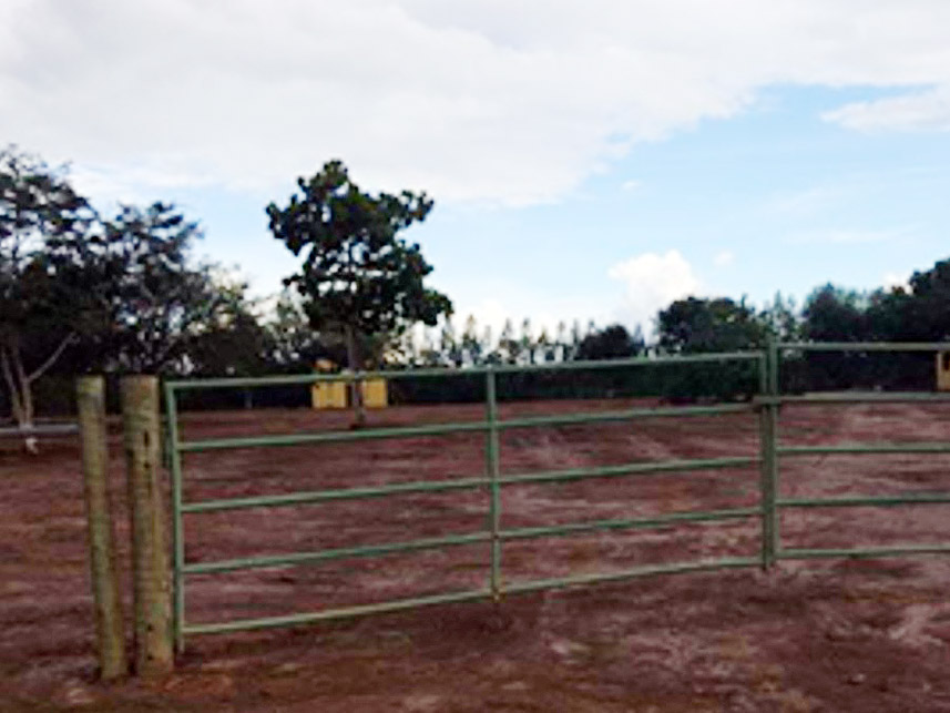 Imagem 3 do Leilão de Área Rural - Imóvel Rural - Rubelita/MG