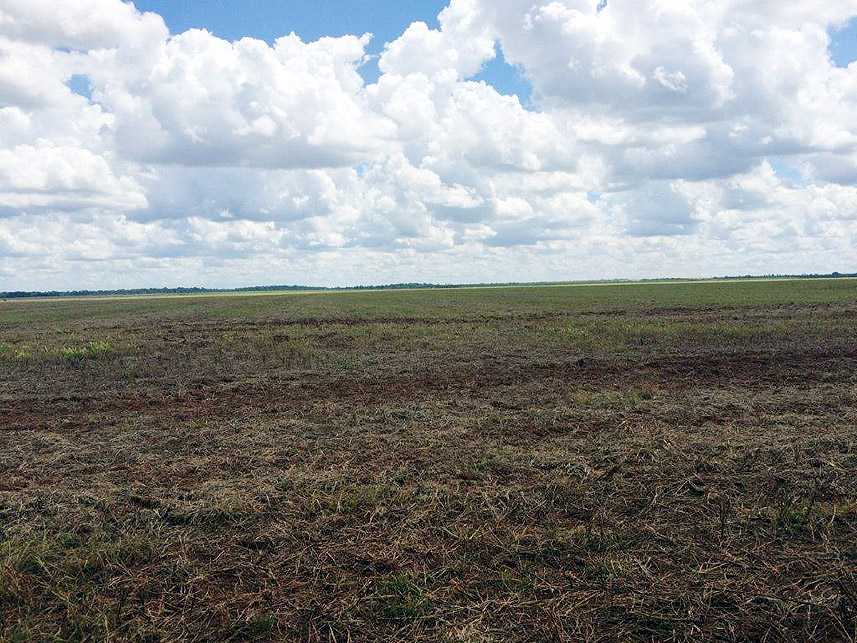 Imagem 1 do Leilão de Área Rural - Imóvel Rural - Novo São Joaquim/MT