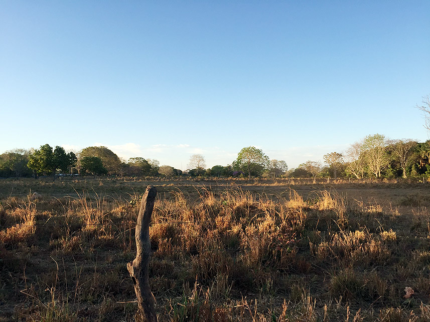 Imagem 4 do Leilão de Terreno - Centro - Peixe/TO