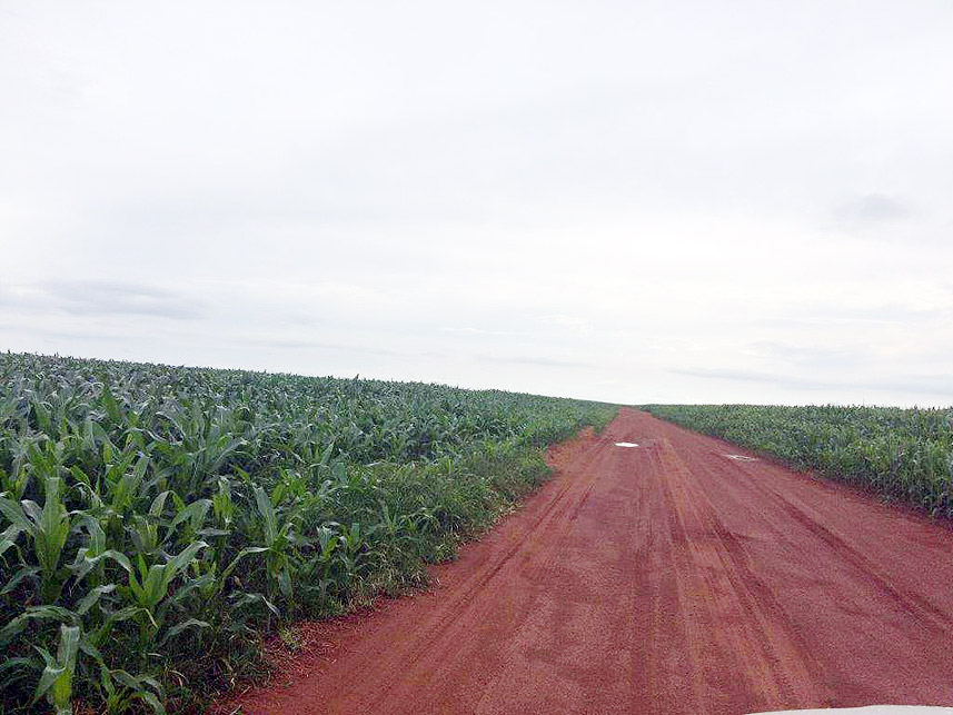 Imagem 2 do Leilão de Área Rural - Imóvel Rural - Pedra Preta/MT
