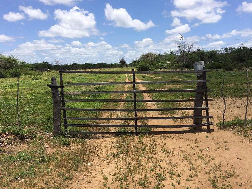 Imagem 1 do Leilão de Área Rural - Imóvel Rural - Campo Alegre de Lourdes/BA