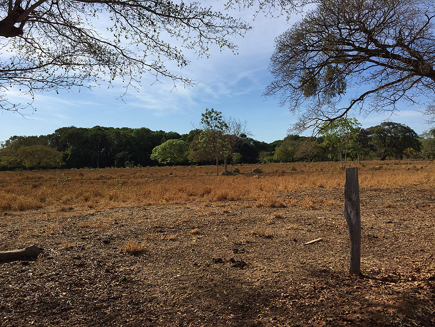 Imagem 6 do Leilão de Terreno - Centro - Peixe/TO