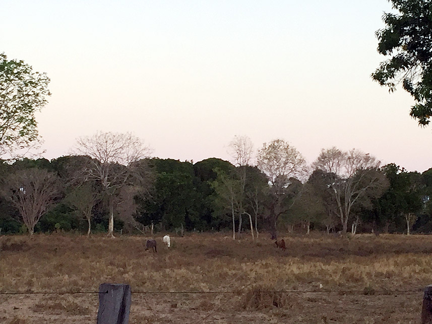 Imagem 1 do Leilão de Terreno - Centro - Peixe/TO