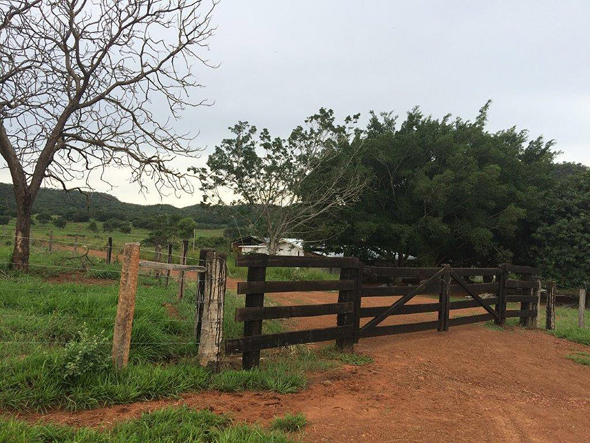 Imagem 5 do Leilão de Área Rural - Imóvel Rural - Pedra Preta/MT
