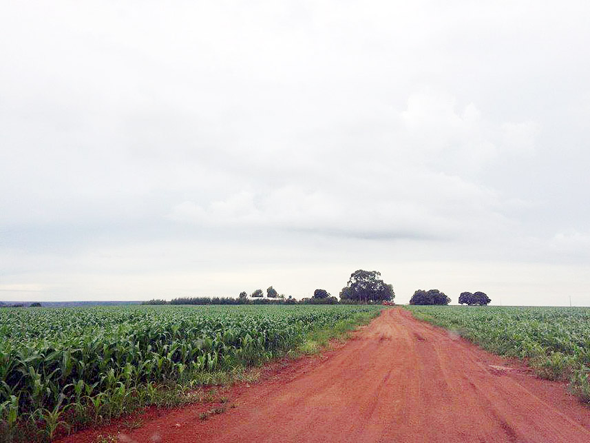 Imagem 1 do Leilão de Área Rural - Imóvel Rural - Pedra Preta/MT