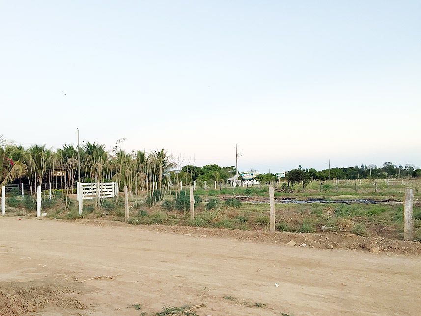 Imagem 7 do Leilão de Terreno - Centro - Peixe/TO