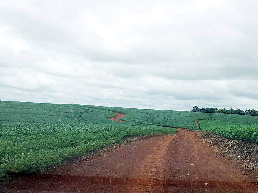 Imagem 2 do Leilão de Área Rural - Área Rural - Imbituva/PR