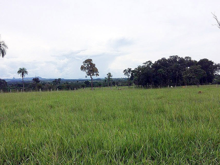 Imagem 2 do Leilão de Área Rural - Imóvel Rural - Rondonópolis/MT