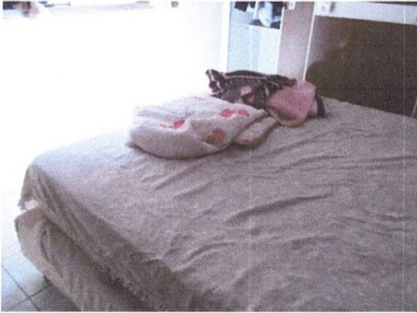 Imagem 7 do Leilão de Casa - Vila Florida - Araraquara/SP