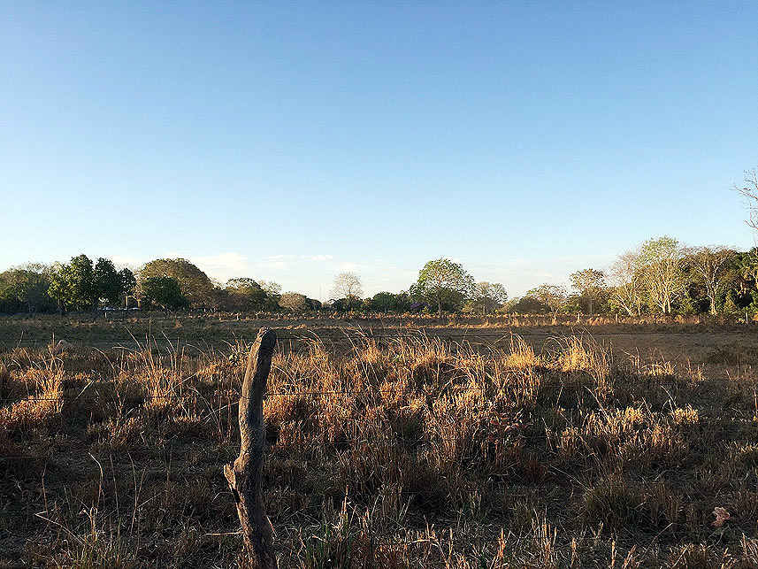 Imagem 4 do Leilão de Terreno - Centro - Peixe/TO