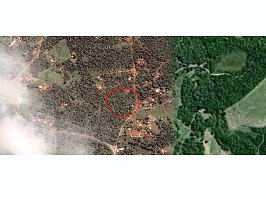 Imagem 2 do Leilão de Área Rural - Imóvel Rural - Rebouças/PR