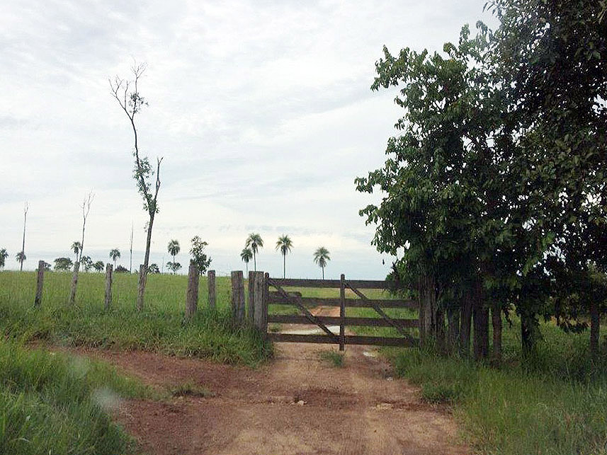 Imagem 1 do Leilão de Área Rural - Imóvel Rural - Rondonópolis/MT