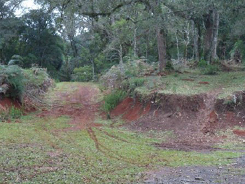 Imagem 1 do Leilão de Área Rural - Imóvel Rural - Rebouças/PR