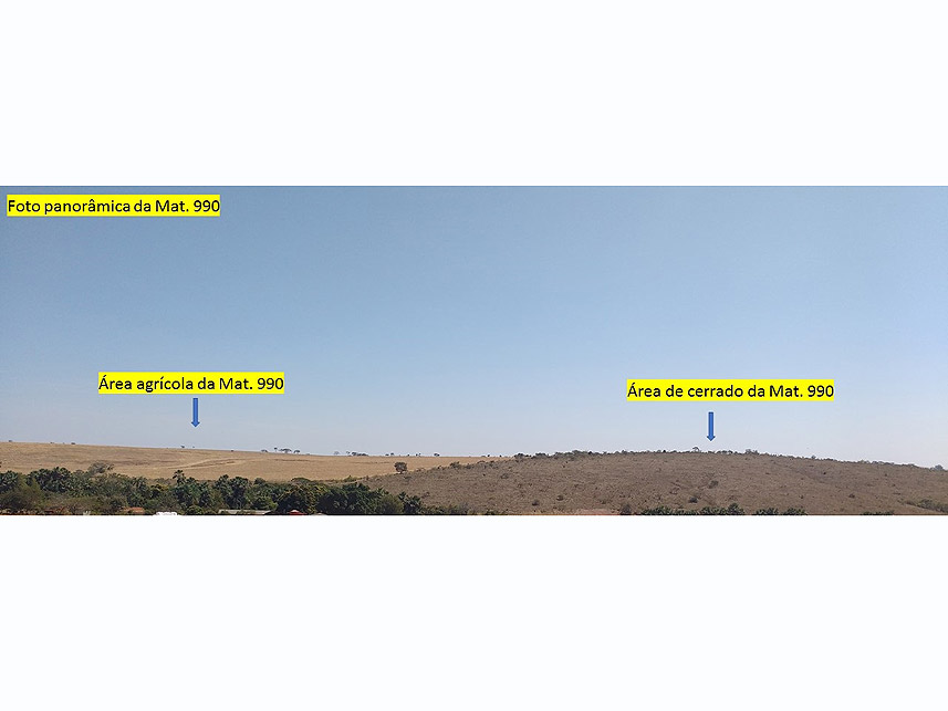 Imagem 3 do Leilão de Área Rural - Imóvel Rural - Cristalina/GO