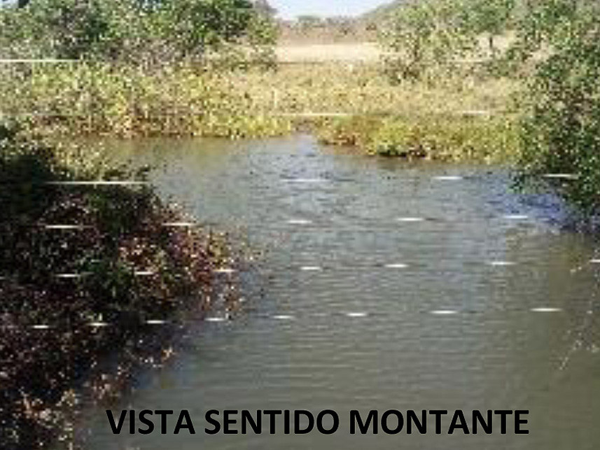 Imagem 3 do Leilão de Área Rural - Fazenda Arantes  - Campina Verde/MG