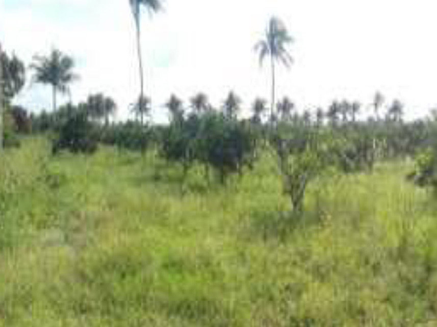 Imagem 3 do Leilão de Área Rural - Área rural  - Lagarto/SE