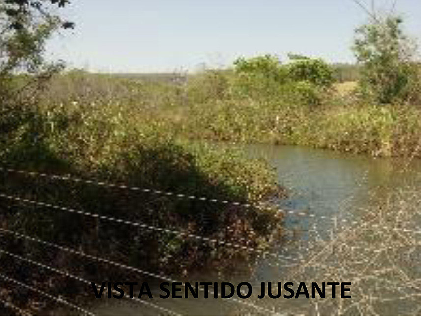 Imagem 4 do Leilão de Área Rural - Fazenda Arantes  - Campina Verde/MG